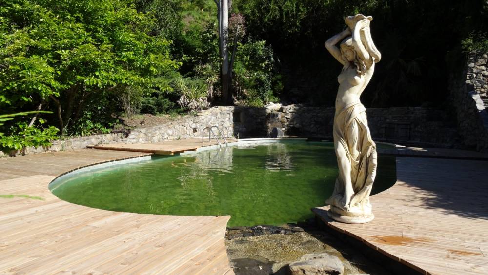 Piscine ovale des années 60 transformée en piscine naturelle - Piscine Naturelle du Bruel