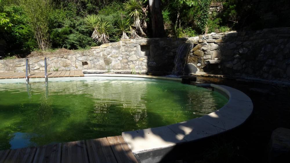 Piscine ovale des années 60 transformée en piscine naturelle - Piscine Naturelle du Bruel