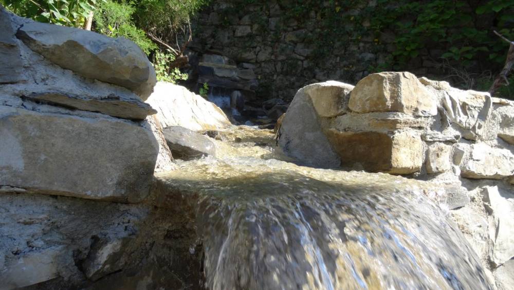 Piscine ovale des années 60 transformée en piscine naturelle - Piscine Naturelle du Bruel