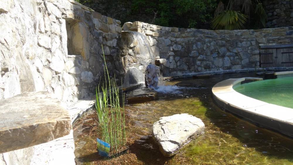 Piscine ovale des années 60 transformée en piscine naturelle - Piscine Naturelle du Bruel