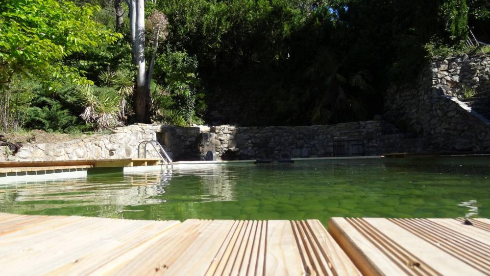 Piscine ovale des années 60 transformée en piscine naturelle - Piscine Naturelle du Bruel