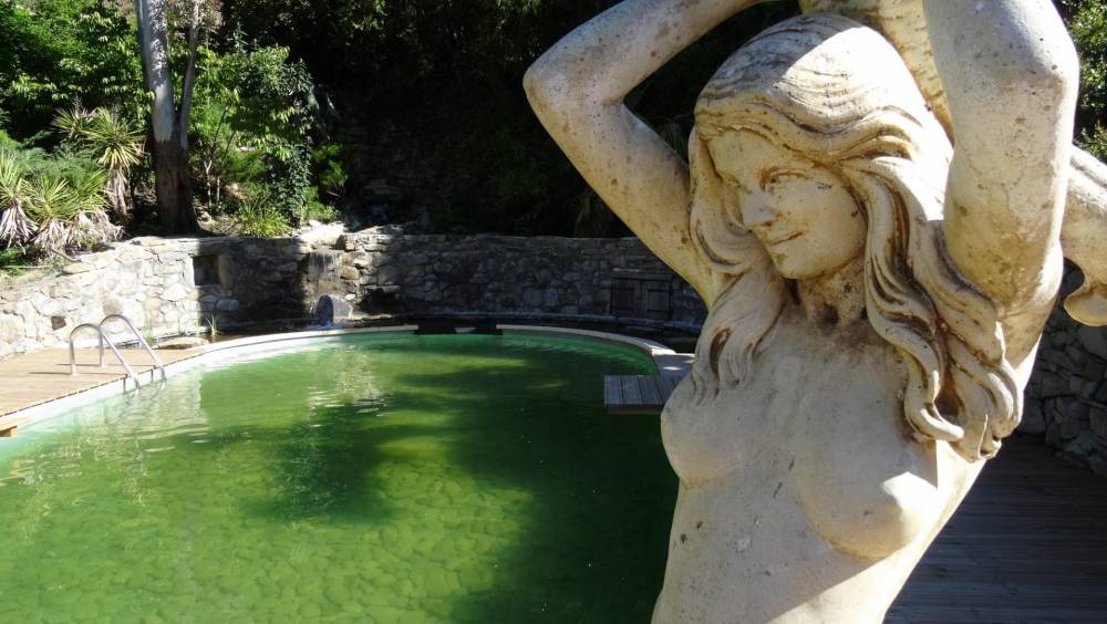 Piscine ovale des années 60 transformée en piscine naturelle - Piscine Naturelle du Bruel