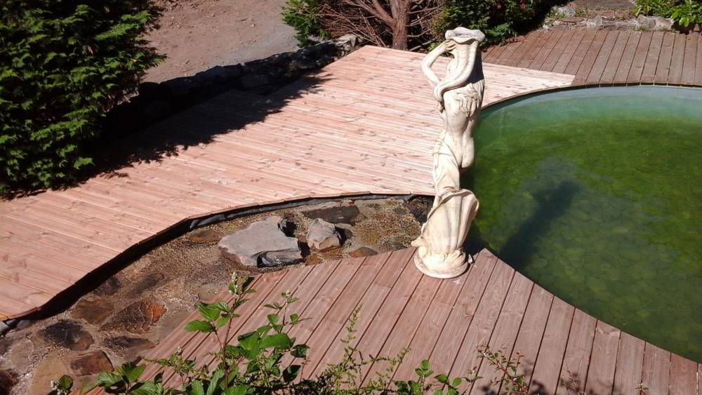 Piscine ovale des années 60 transformée en piscine naturelle - Piscine Naturelle du Bruel
