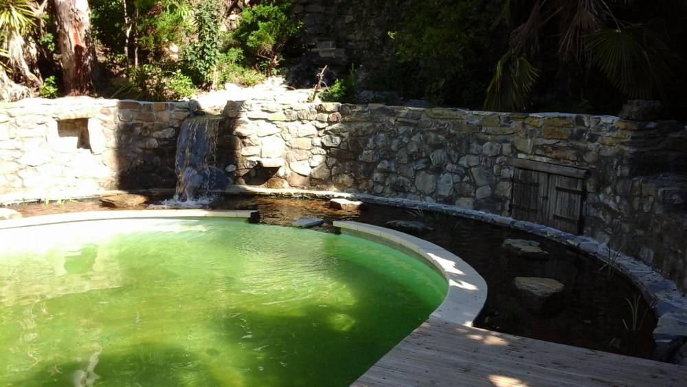 Piscine ovale des années 60 transformée en piscine naturelle - Piscine Naturelle du Bruel