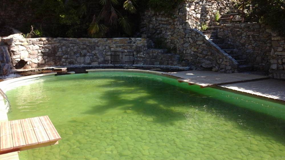 Piscine ovale des années 60 transformée en piscine naturelle - Piscine Naturelle du Bruel