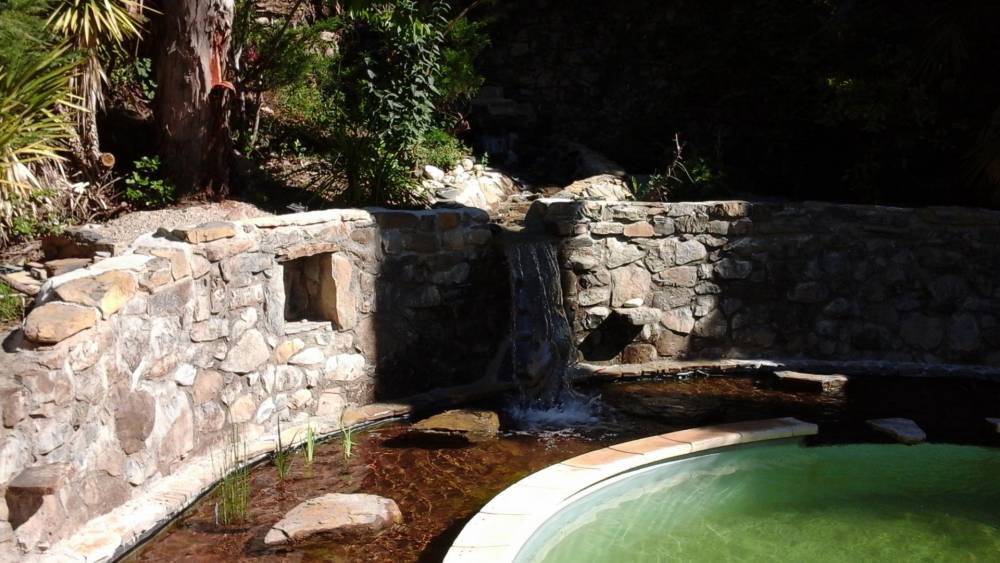 Piscine ovale des années 60 transformée en piscine naturelle - Piscine Naturelle du Bruel