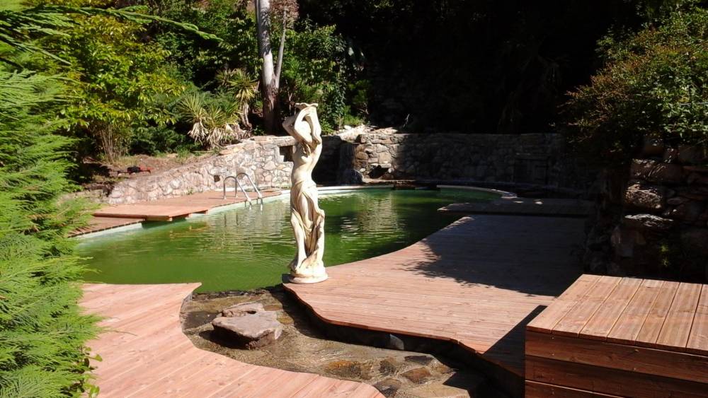 Piscine ovale des années 60 transformée en piscine naturelle - Piscine Naturelle du Bruel