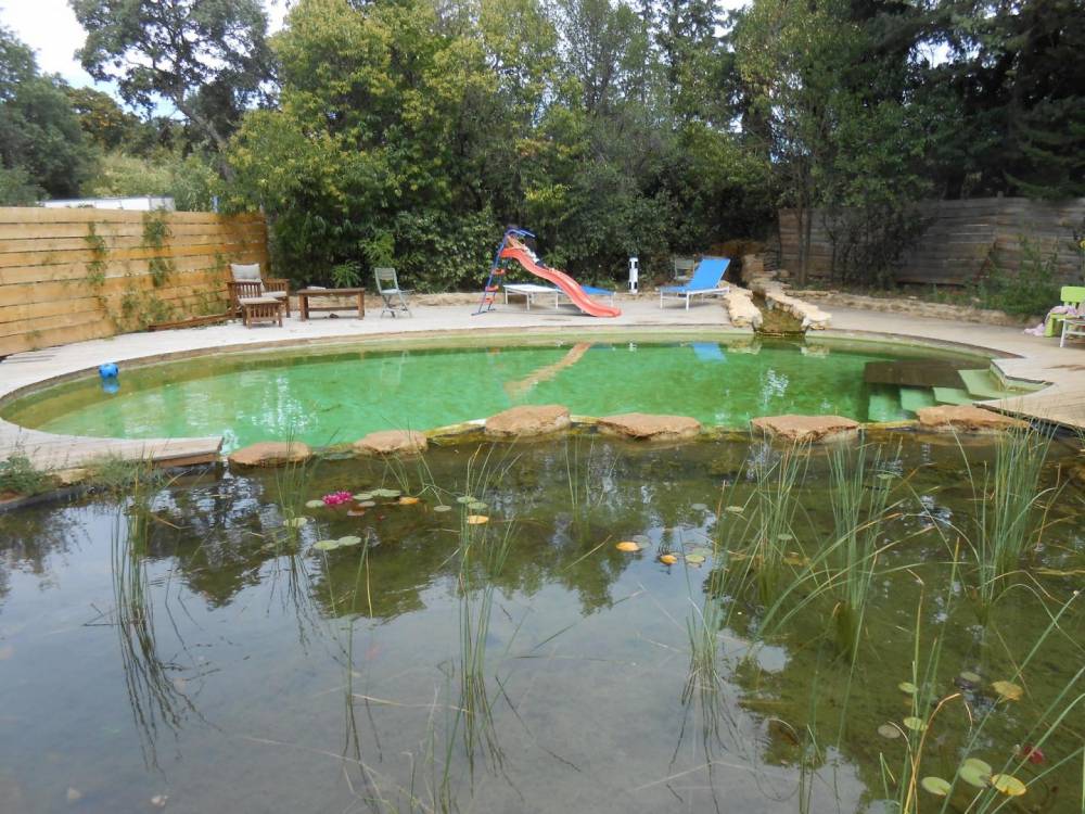 Piscine haricot des années 60 transformée en piscine naturelle - Piscine Naturelle du Bruel