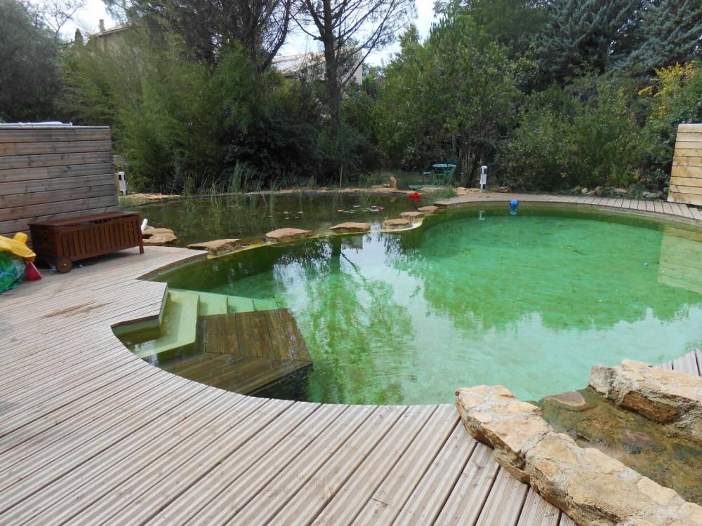 Piscine haricot des années 60 transformée en piscine naturelle - Piscine Naturelle du Bruel