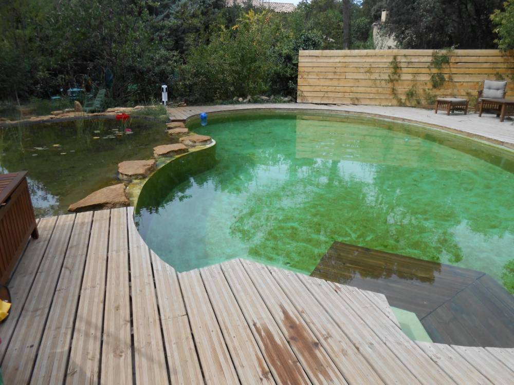 Piscine haricot des années 60 transformée en piscine naturelle - Piscine Naturelle du Bruel