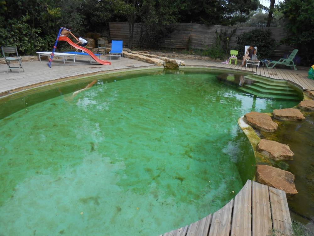 Piscine haricot des années 60 transformée en piscine naturelle - Piscine Naturelle du Bruel