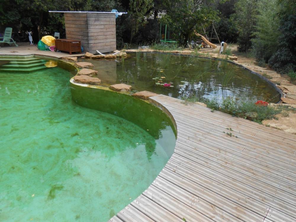 Piscine haricot des années 60 transformée en piscine naturelle - Piscine Naturelle du Bruel